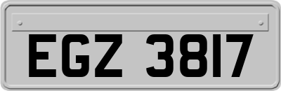 EGZ3817