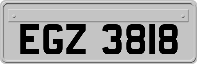 EGZ3818