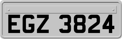 EGZ3824