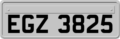 EGZ3825
