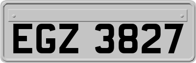 EGZ3827