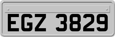 EGZ3829