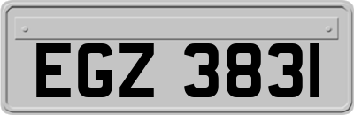 EGZ3831