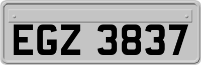 EGZ3837