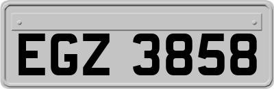 EGZ3858