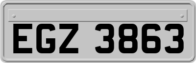 EGZ3863