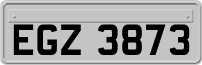 EGZ3873