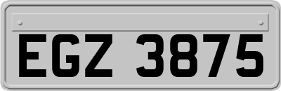 EGZ3875