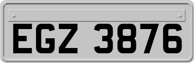 EGZ3876