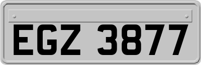 EGZ3877