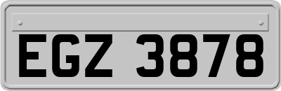 EGZ3878