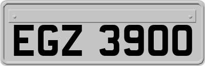 EGZ3900