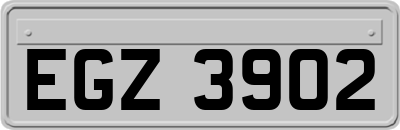 EGZ3902