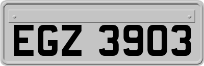 EGZ3903