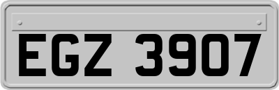 EGZ3907