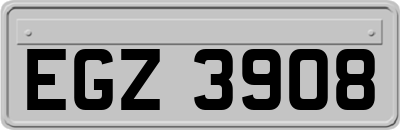 EGZ3908