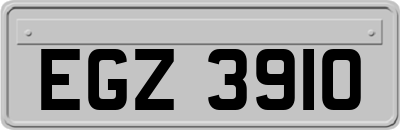 EGZ3910