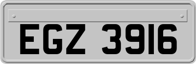 EGZ3916