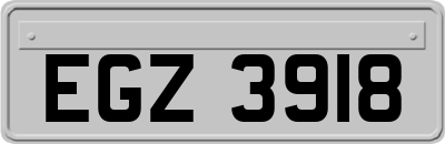 EGZ3918