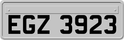 EGZ3923
