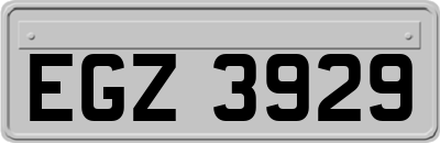 EGZ3929
