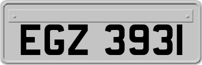 EGZ3931