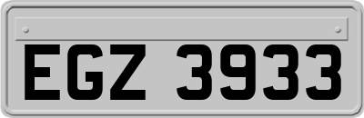 EGZ3933