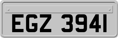 EGZ3941