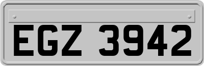 EGZ3942