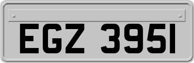 EGZ3951