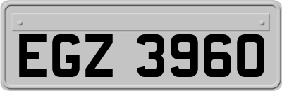 EGZ3960