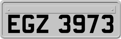 EGZ3973