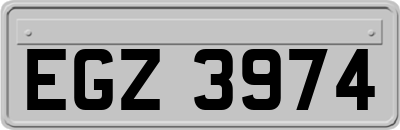 EGZ3974