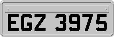 EGZ3975
