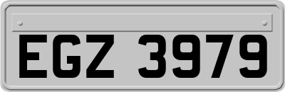 EGZ3979