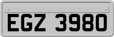 EGZ3980