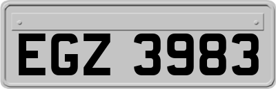 EGZ3983