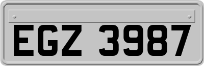 EGZ3987