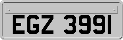 EGZ3991