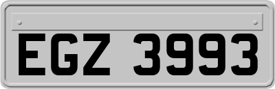 EGZ3993