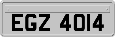 EGZ4014