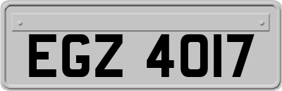 EGZ4017