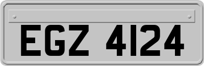 EGZ4124