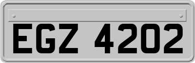 EGZ4202