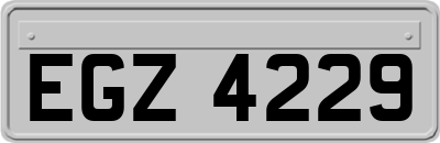 EGZ4229