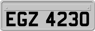 EGZ4230