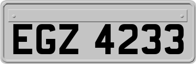 EGZ4233