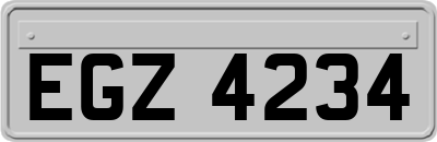 EGZ4234