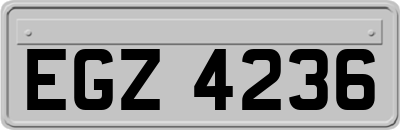 EGZ4236