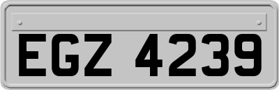 EGZ4239